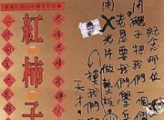 1997年陶述,石隽8.9分家庭片《红柿子》蓝光国语中字