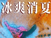 2025年刘牧,钱洁剧情片《寒冰白血》1080P国语中字